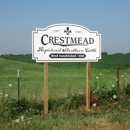 Crane Signs - Signs