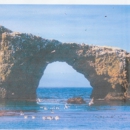 Anacapa Window Wash - Window Cleaning