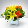 Martin the Flower Guy gallery