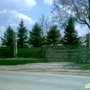 Columbine Tree Transplanting