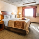 Comfort Inn Butte - Motels