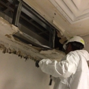 ServiceMaster by LoveJoy - Mold Remediation