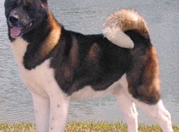 Blayney Veterinary Hospital - Blayney, NSW