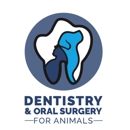 Dentistry and Oral Surgery for Animals San Marcos - Veterinarians