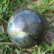 Gallery Image Number 5