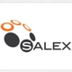 Salex Development Management, Inc.