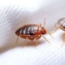 Mayflower pest control - Pest Control Equipment & Supplies