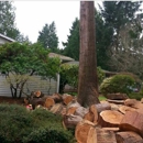 Tony's Professional Tree Service - Tree Service