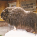 Wild Country Taxidermy - Taxidermists