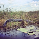 Arthur R. Marshall Loxahatchee National Wildlife Refuge - Wildlife Refuge