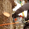 Diven Tree Services gallery