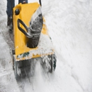 JR Landscaping and Tree Service - Tree Service