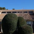 Apple Dental Center - CLOSED