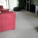 Jensens Carpet, Upholstery & Tile Cleaning - Carpet & Rug Cleaners