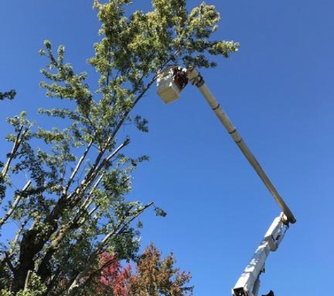 In & Out Tree Care - Columbus, OH