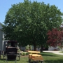 Aaron & Jessica's Buggy Rides