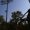 Spartan Tree Service gallery
