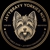 Jayybrayy Yorkies NSW - Dog Breeders