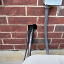 Slade Pest Solutions - Pest Control Services