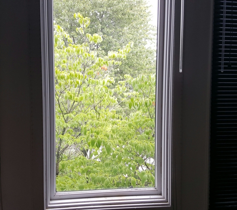 West Glass Replacement - Livonia, MI