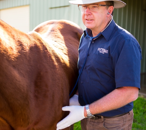 Warwick Veterinary Clinic - Warwick, QLD