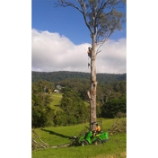 Gallery Image Number 5