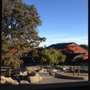 Seven Hills School - Schools