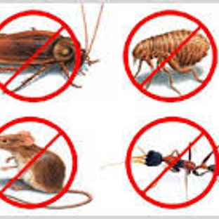 AAA Pest Control - Oakland Park, FL