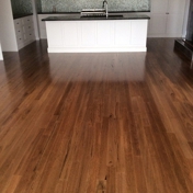 Gallery Image Number 4