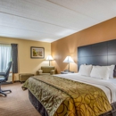 Quality Inn Tully I-81 - Motels