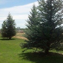 KJ Lawn Maintenance & Spraying Inc - Landscape Designers & Consultants