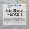 Blue Bird Pack And Ship gallery