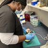 Tyler Dental Assistant School gallery