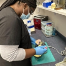 Tyler Dental Assistant School - Medical & Dental Assistants & Technicians Schools