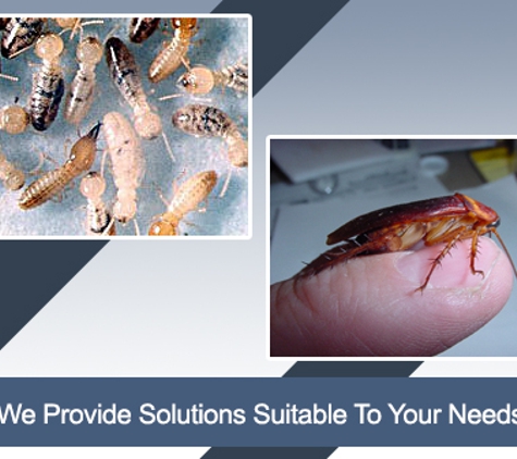 Carters Pest Control - Yarrawonga, VIC. We Provide Solutions Suitable To Your Needs