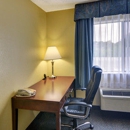 Quality Inn & Suites Grand Prairie South - Motels
