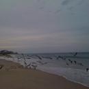 Ft Pierce Inlet State Park - State Parks