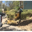 JLG Tree Service - Tree Service