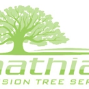 Mathias Precision Tree Service - Tree Service