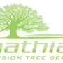 Mathias Precision Tree Service