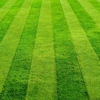 Pookum's Lawn Care gallery