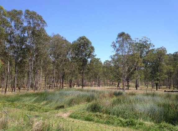 Ecoteam - Lismore, NSW