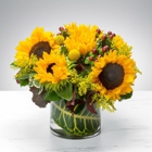 Moller's Flower Shop