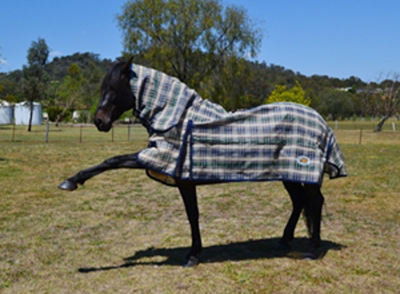 Wholesale Horsewear House - Wilsonton, QLD