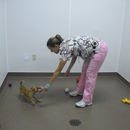 All-Star Animal Hospital - Veterinary Clinics & Hospitals