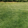 Kansas City Lawn Care