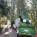 La Sirenita Tree Service