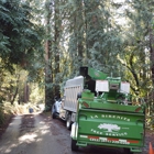 La Sirenita Tree Service
