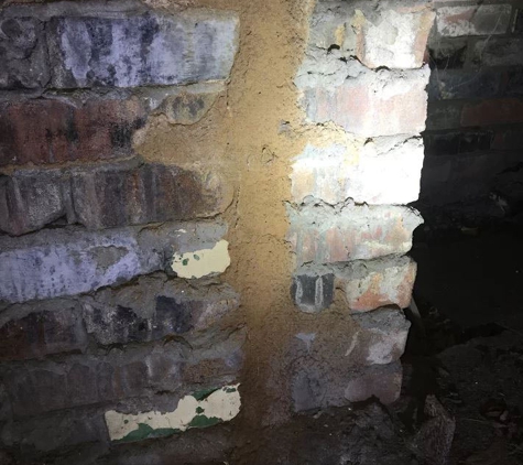 Mr. Bugs Pest Control Service Pty Ltd - Woonona, NSW. Wall Image Of Pests