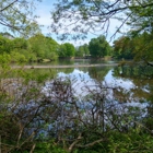 The Bog Garden at Benjamin Park